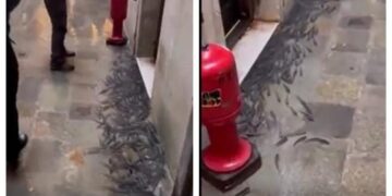Vola di tutto a Venezia, anche i pesci….